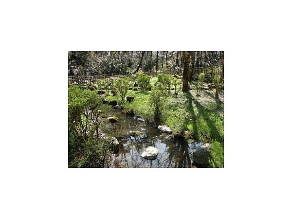 じゅんさい池公園【蛍の名所】