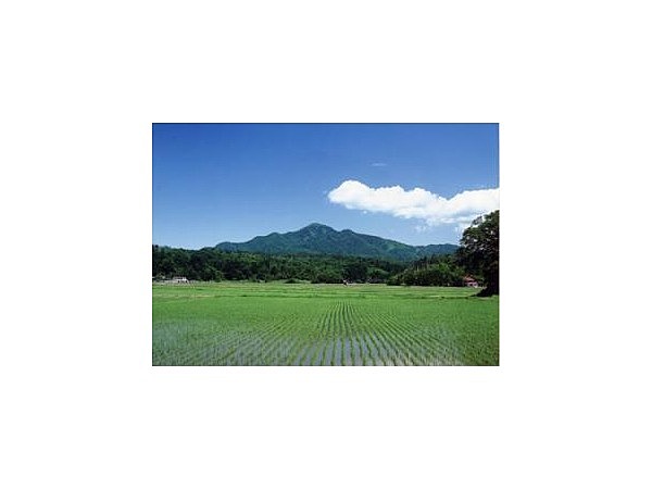 米山・水野林道登山口