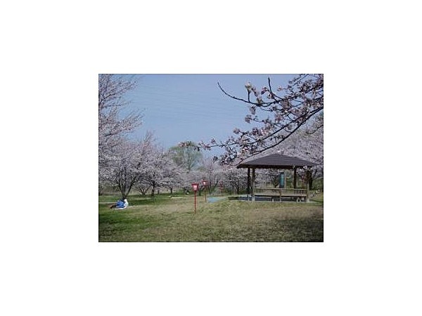 神林水辺の楽校【桜の名所】