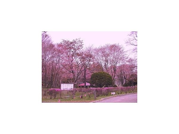 釧路市音別町憩いの森