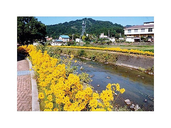 安塚フラワーロード