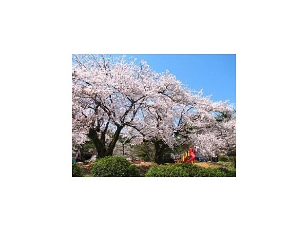 村松公園【桜の名所】