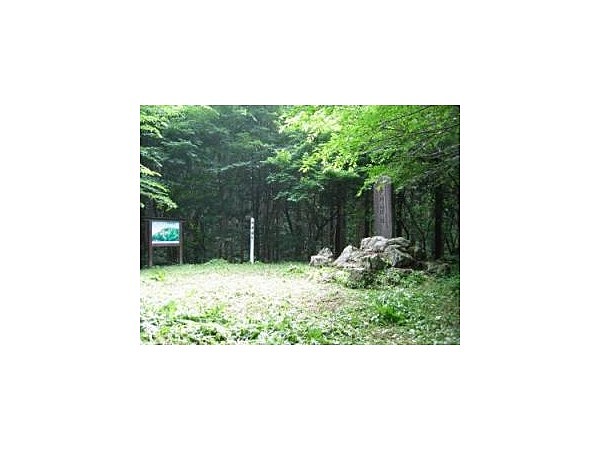 天神山武者溜り【カタクリ】