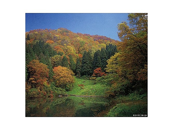 嘉例沢森林公園