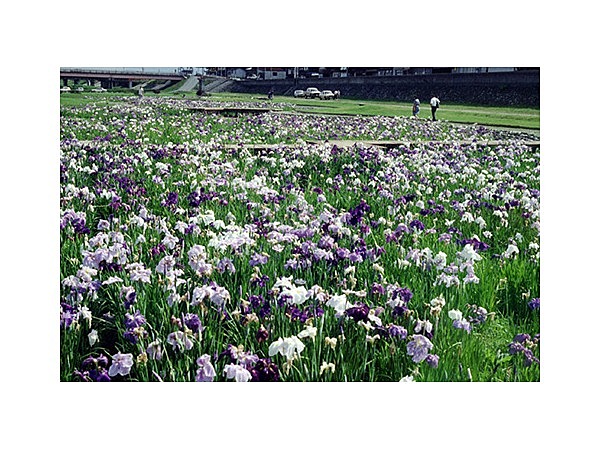 小矢部河川公園