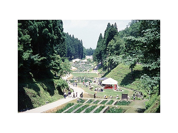 県民公園頼成の森