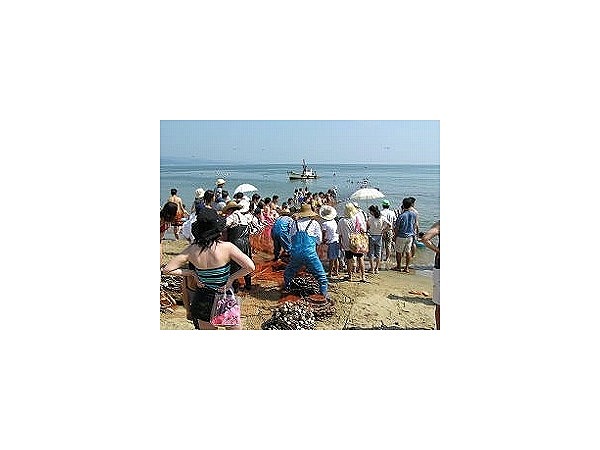 地引き網(おにぎり・大漁鍋付き)