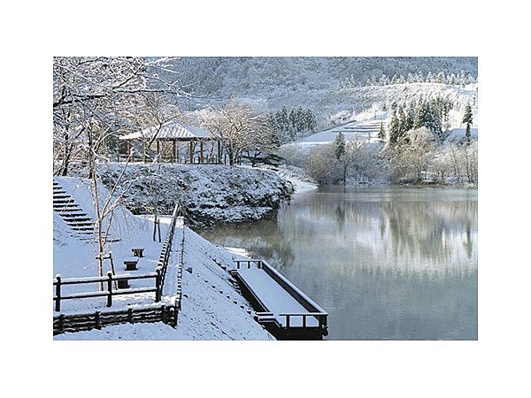 ゆ～ゆうランド・花椿