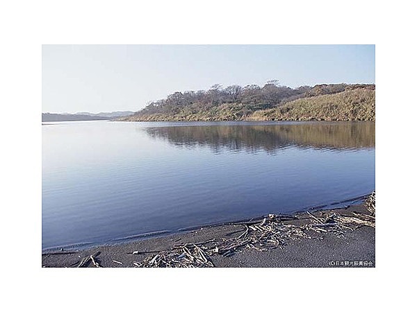 ホロカヤントウ