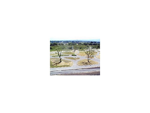 神通川水辺プラザ