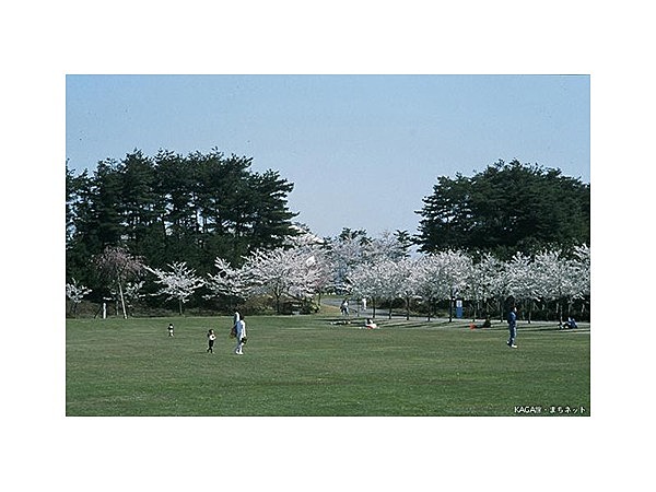 加賀市中央公園