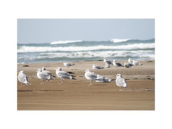 長手島自然観察コース