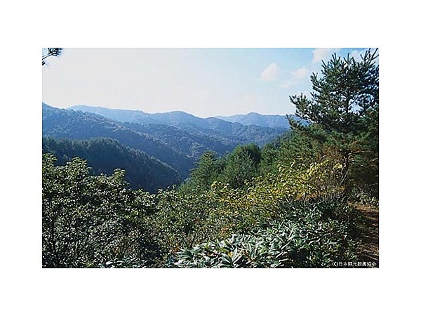 大倉岳高原スキー場