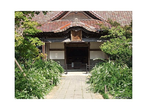 加賀大聖寺　山の下寺院群