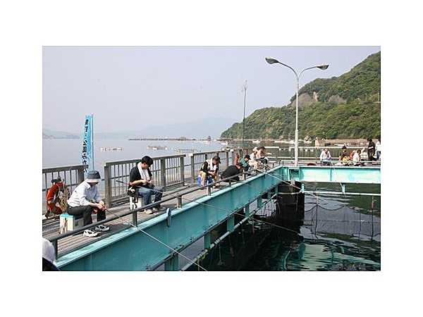 海釣り公園みかた