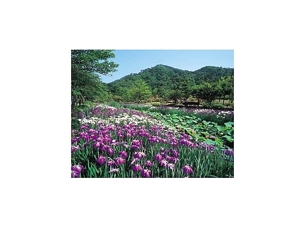 越前の里味真野苑