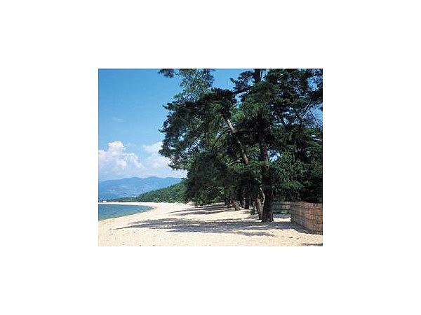 気比の松原海水浴場