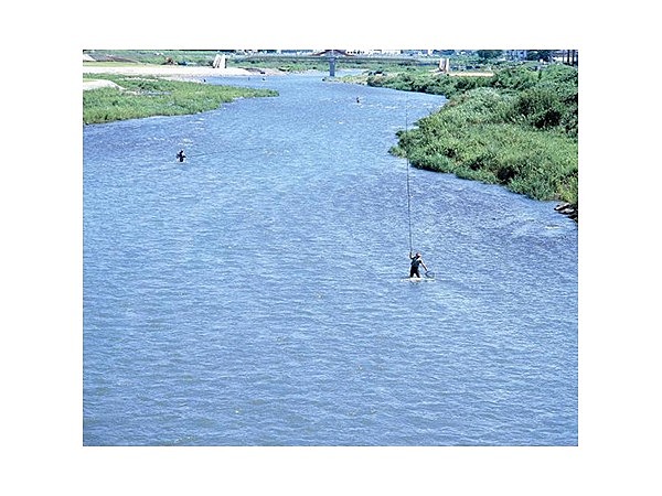 鮎釣り