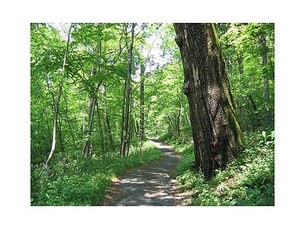 ふるさと２０００年ポロトの森