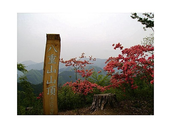 八重山五感の森遊歩道