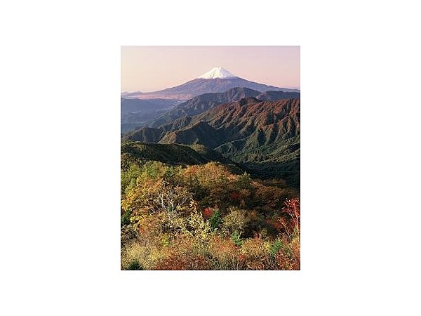 雁ヶ腹摺山ハイキングコース