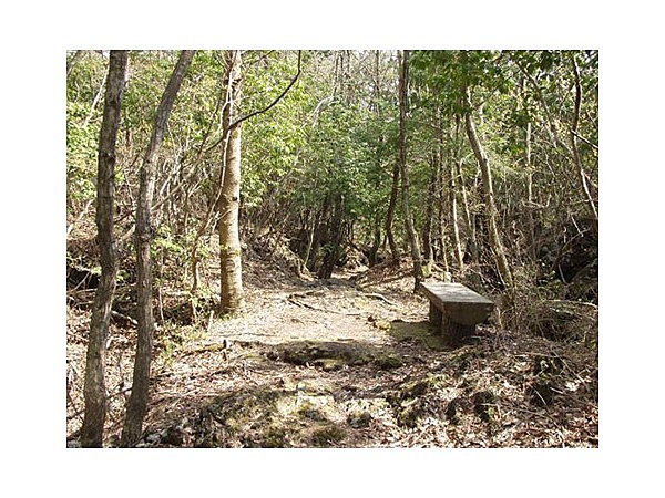 緑の休暇村オリエンテーリングコース