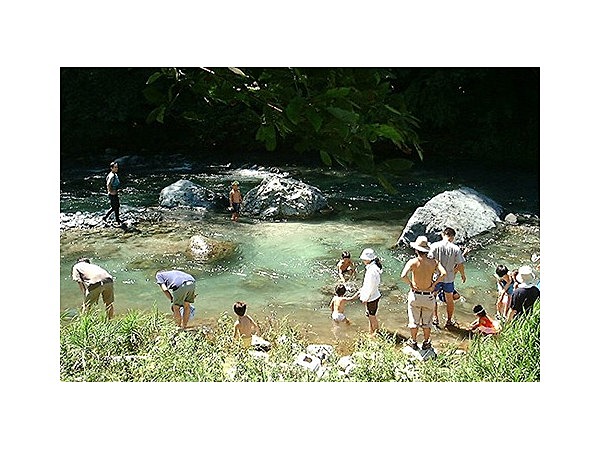 ネイチャーランドオム