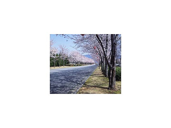 小瀬スポーツ公園