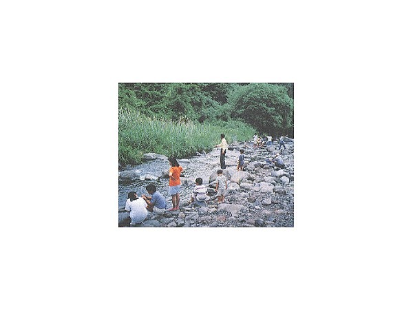 川俣川渓流つり場