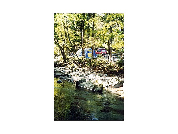 奥道志オートキャンプ場