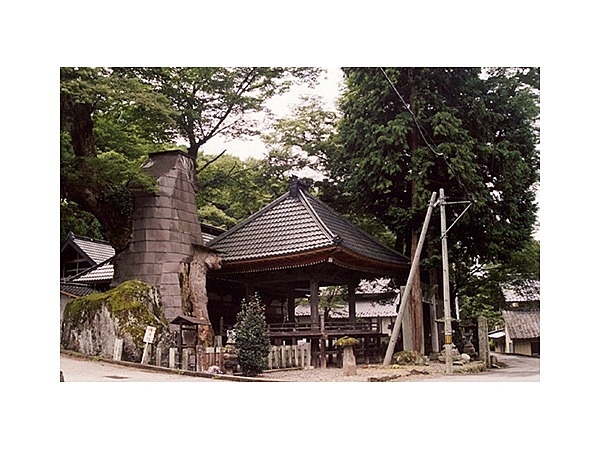 根古屋神社の大ケヤキ