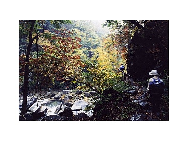 竜門峡ハイキングコース