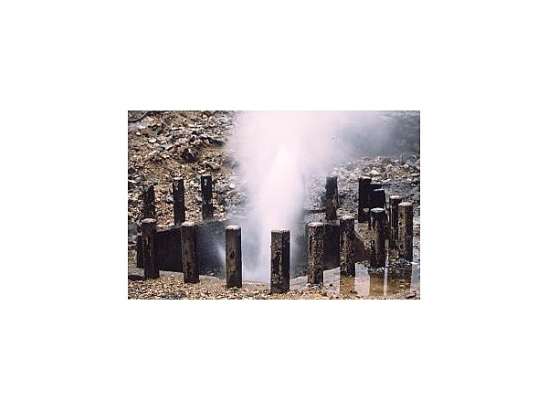 渋の地獄谷噴泉