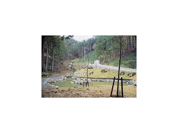 湯ヶ洞森林公園