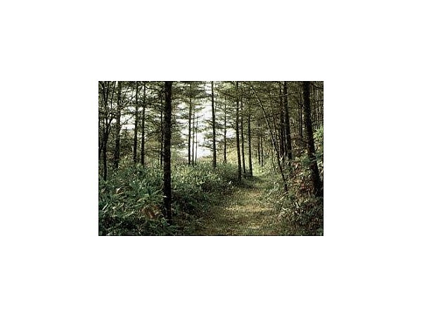 歴史の道「史跡　中山道」