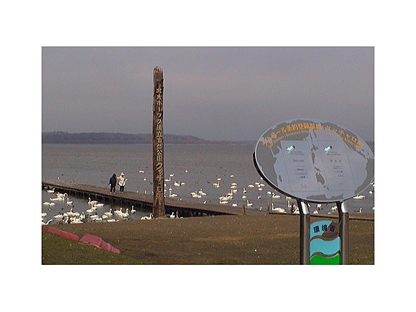 クッチャロ湖畔