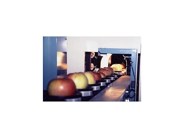 JA上伊那飯島果実選果場