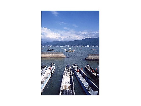 諏訪湖のわかさぎ釣り
