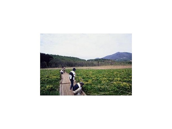 信濃路自然歩道