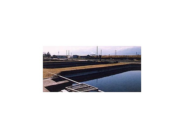 長野県水産試験場