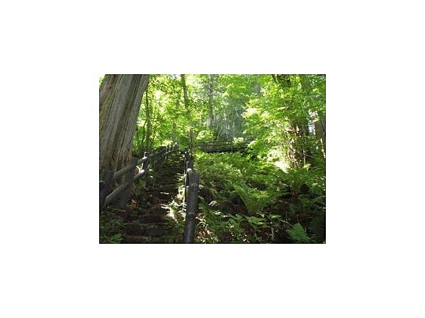 御嶽山麓　美林・滝めぐりコース