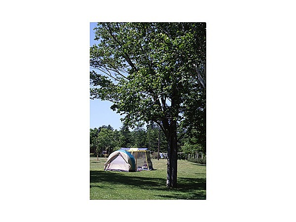 富士見ヶ丘公園キャンプ場