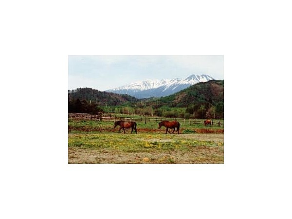 木曽馬トレッキングセンター