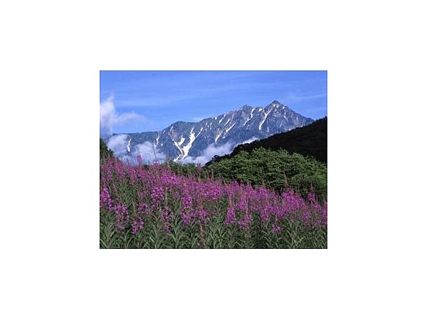 鹿島槍黒沢高原