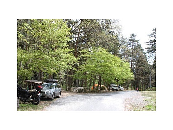 野底山森林公園キャンプ場