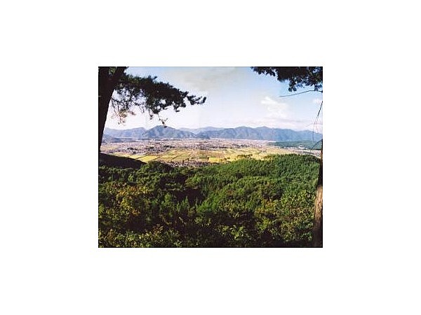 塩田野パノラマライン展望台