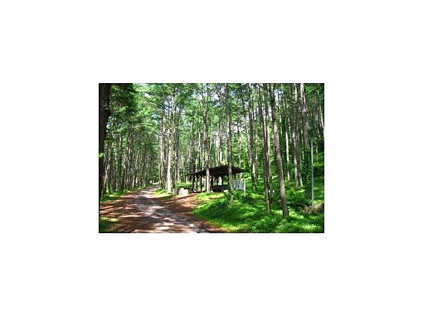 立場川キャンプ場