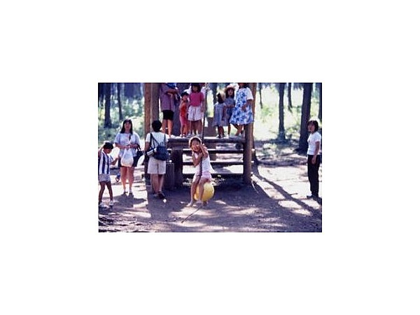 大芝高原アスレチック