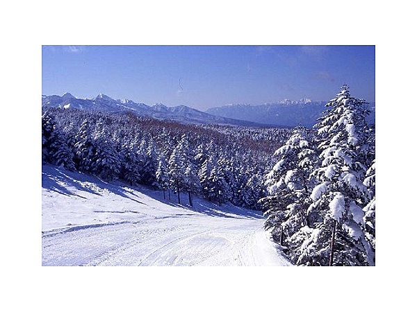 ピラタス蓼科スノーリゾート