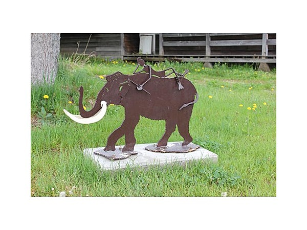 癒しの森 象の小径コース